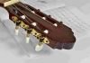 Classical Guitar Roundup January 2018