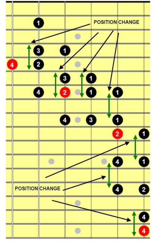 Scales You Can Use 7