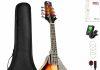 6 mandolins for under $400 in 2024 lcsj
