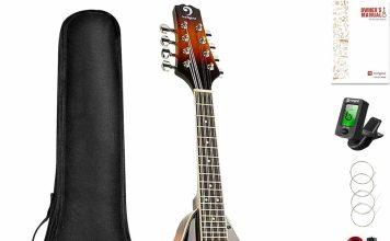 6 mandolins for under $400 in 2024 lcsj