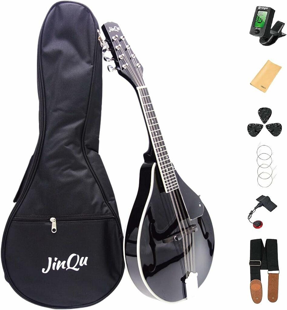 lcsm Mandolin for under $400