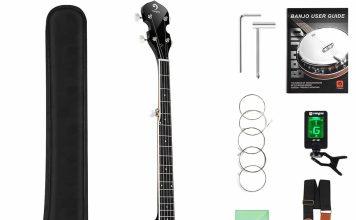 5 and 6 String Banjos Reviewed (Updated For 2024) ldrn