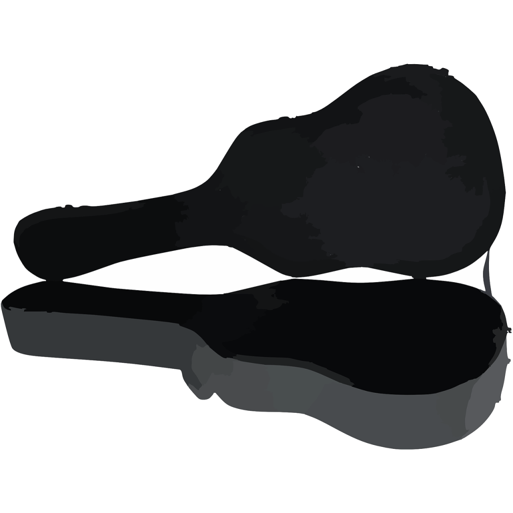 Find 24 Essential Features to Look for in Guitar Gig Bags on Amazon